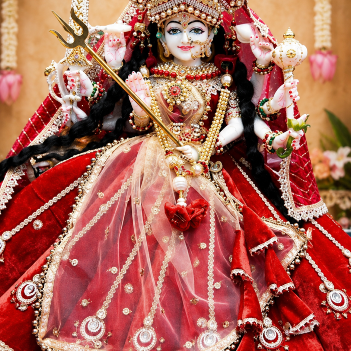 Mata Ji Dress